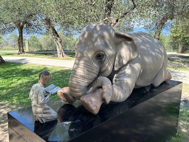 Zen.nl, Zen, meditatie, leren mediteren, foto
